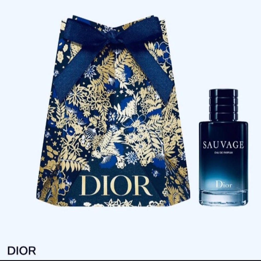 dior 2 pc set